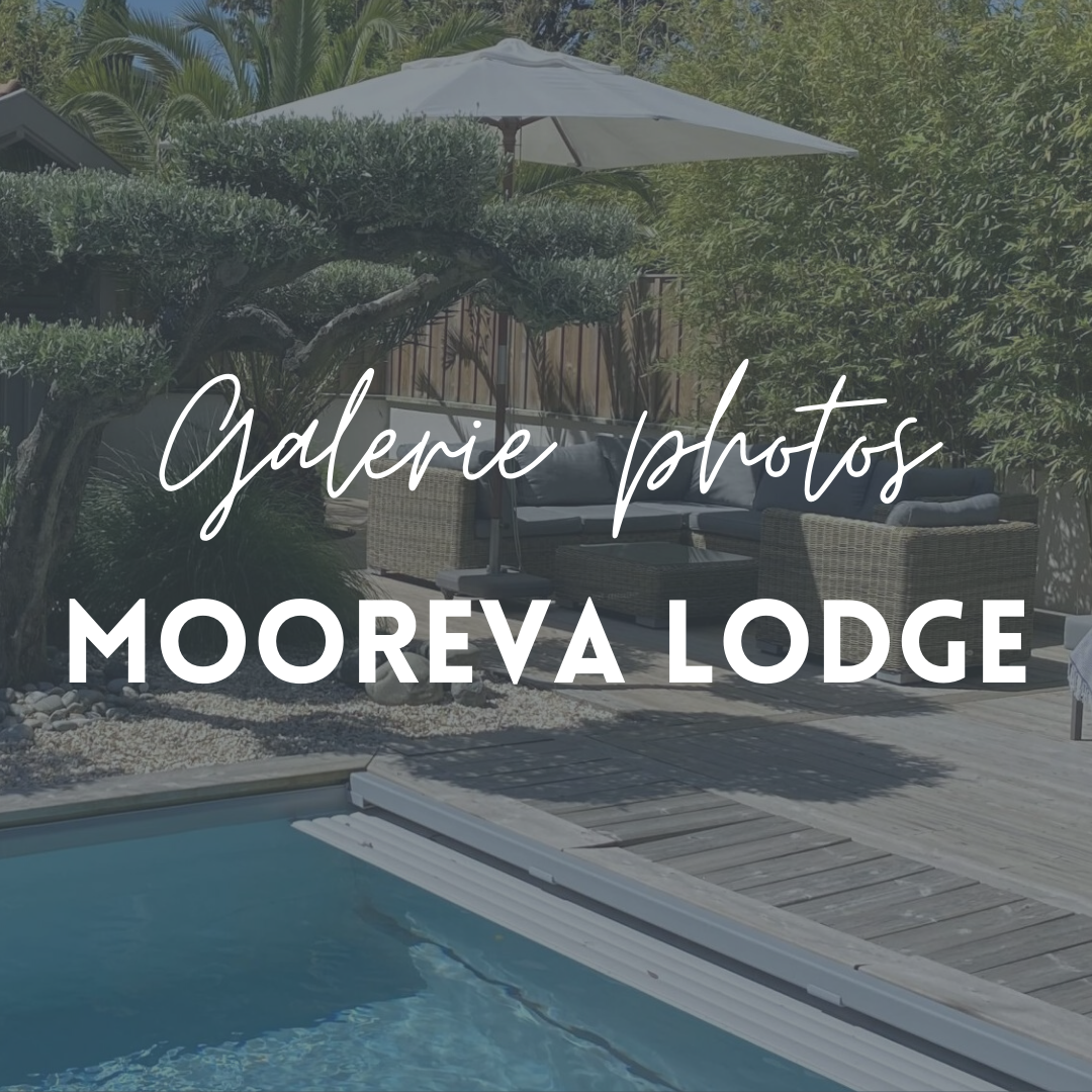 Galerie photos - Mooreva Lodge