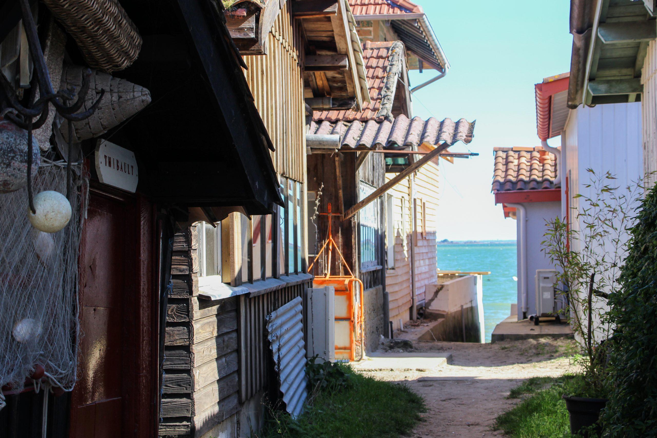 village-herbe-1 village-herbe-1